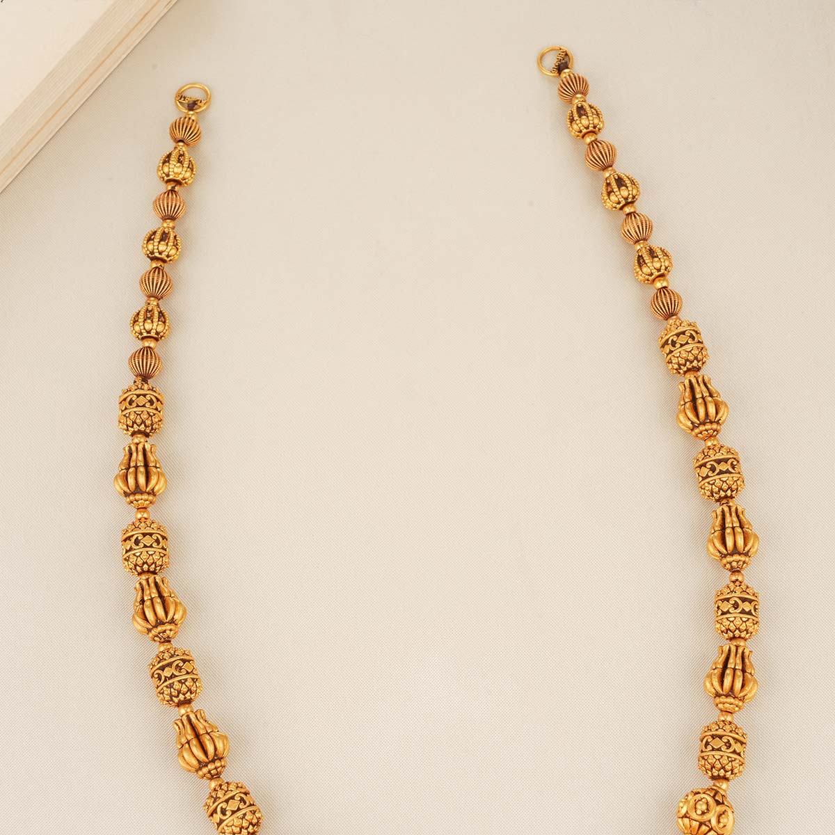 Gorgeous Lakshmi Long Necklace