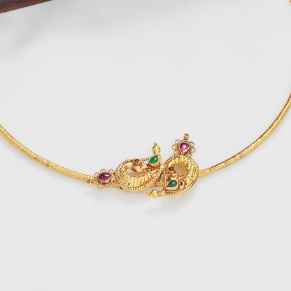Stunning Hasli Necklace Set