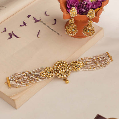 Golden Glow Choker Necklace Set