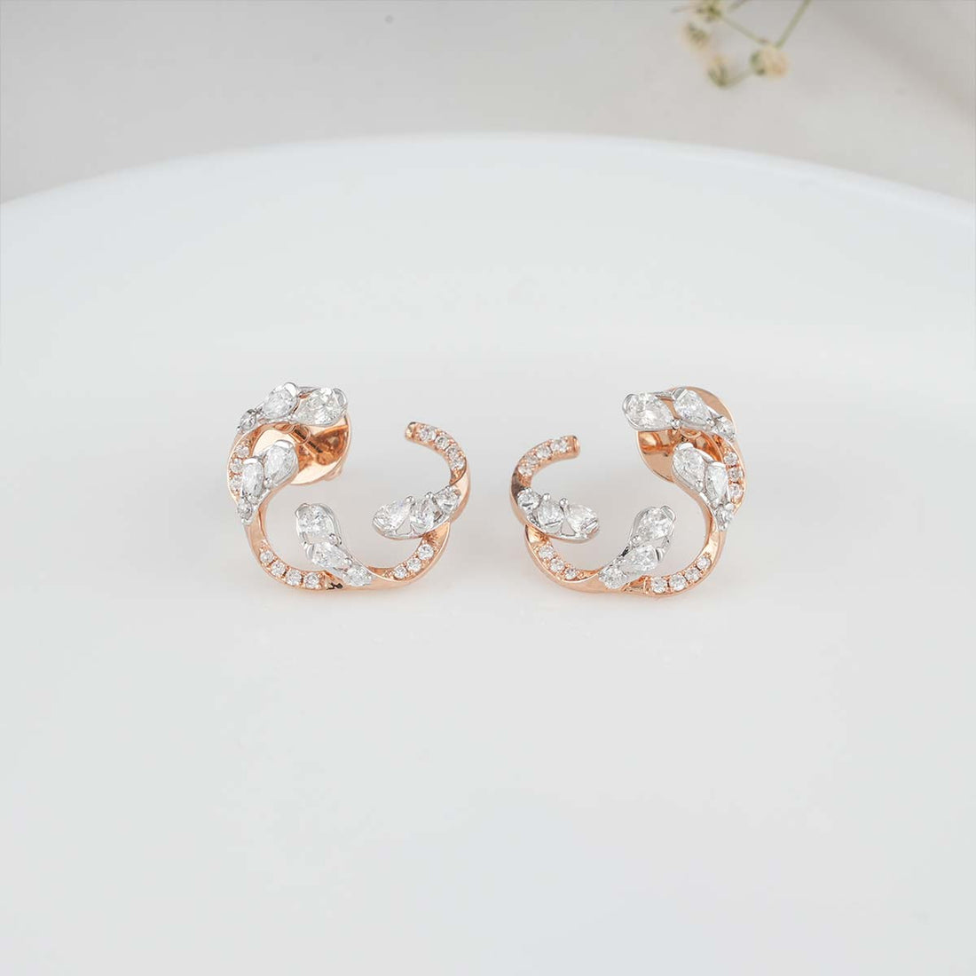 Splendid Diamond Earrings