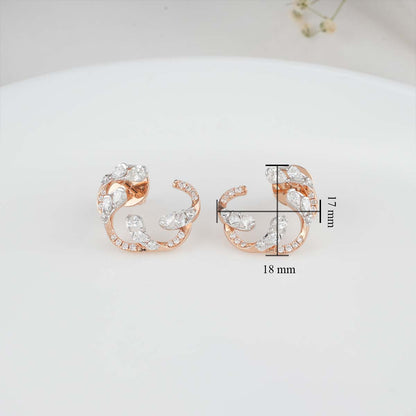 Splendid Diamond Earrings