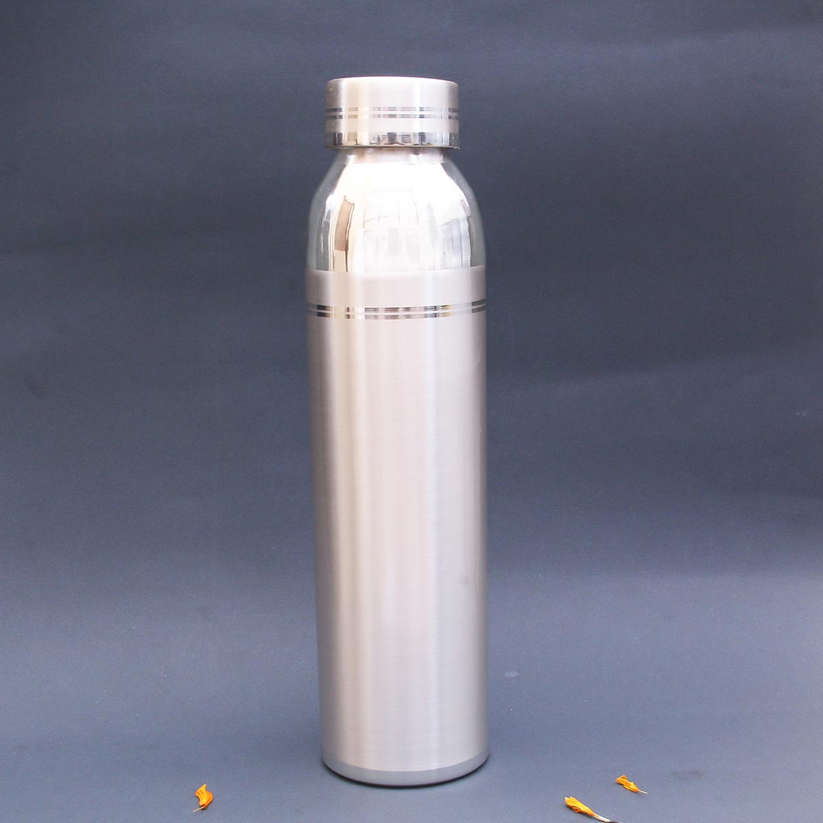 Silver Plain Water Bottle