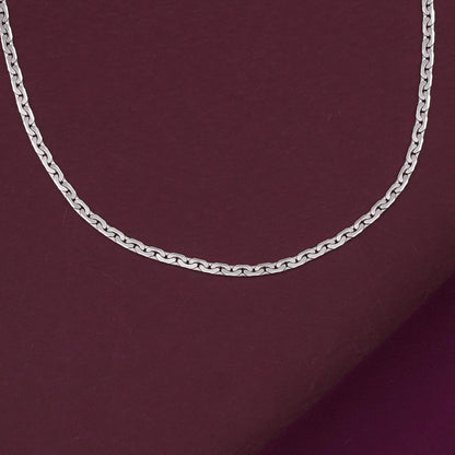 Silver Long Chain